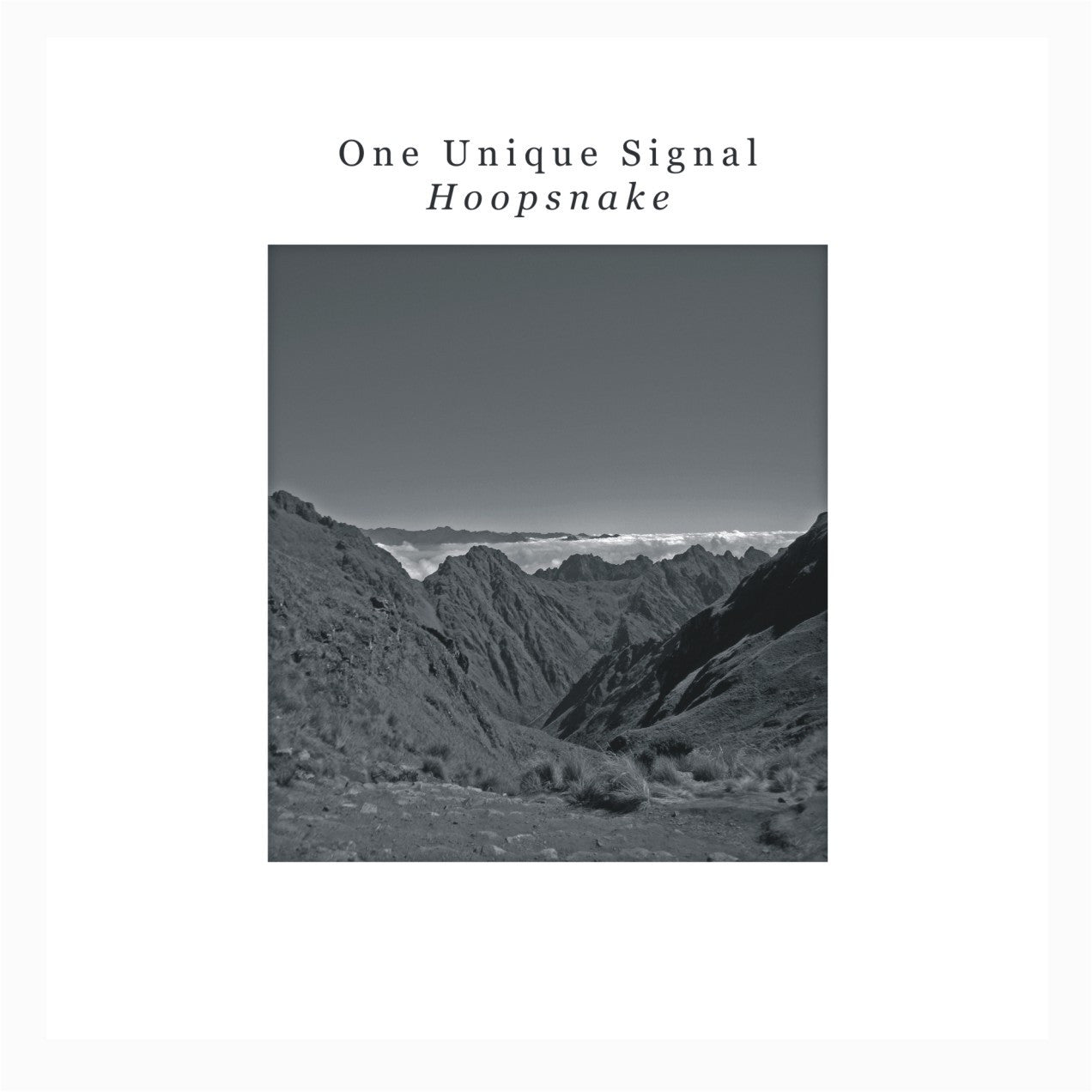 One Unique Signal - Hoopsnake – Fuzz Club