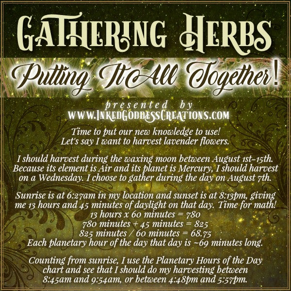 Gathering Herbs: Putting It All Together