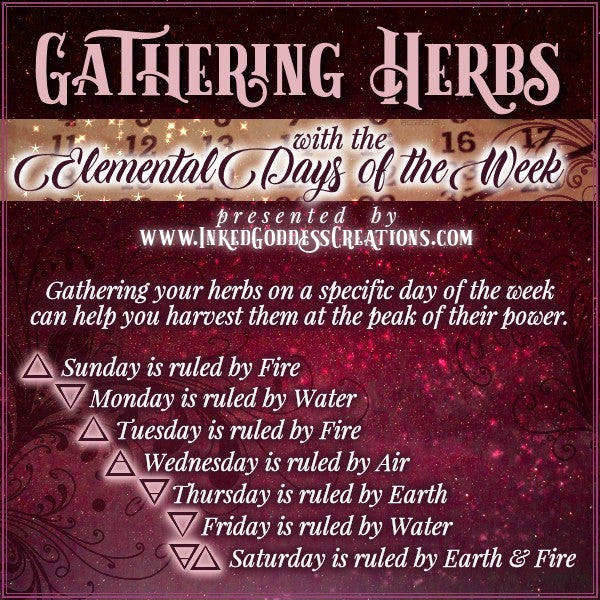Gathering Herbs with the Elemental Days of the Week