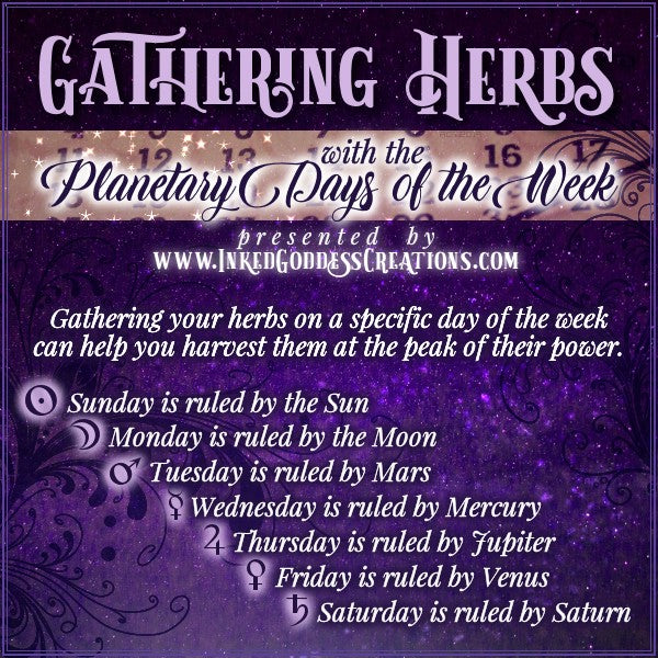 Gathering Herbs with the Planetary Days of the Week