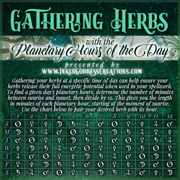 Gathering Herbs with the Planetary Hours of the Day