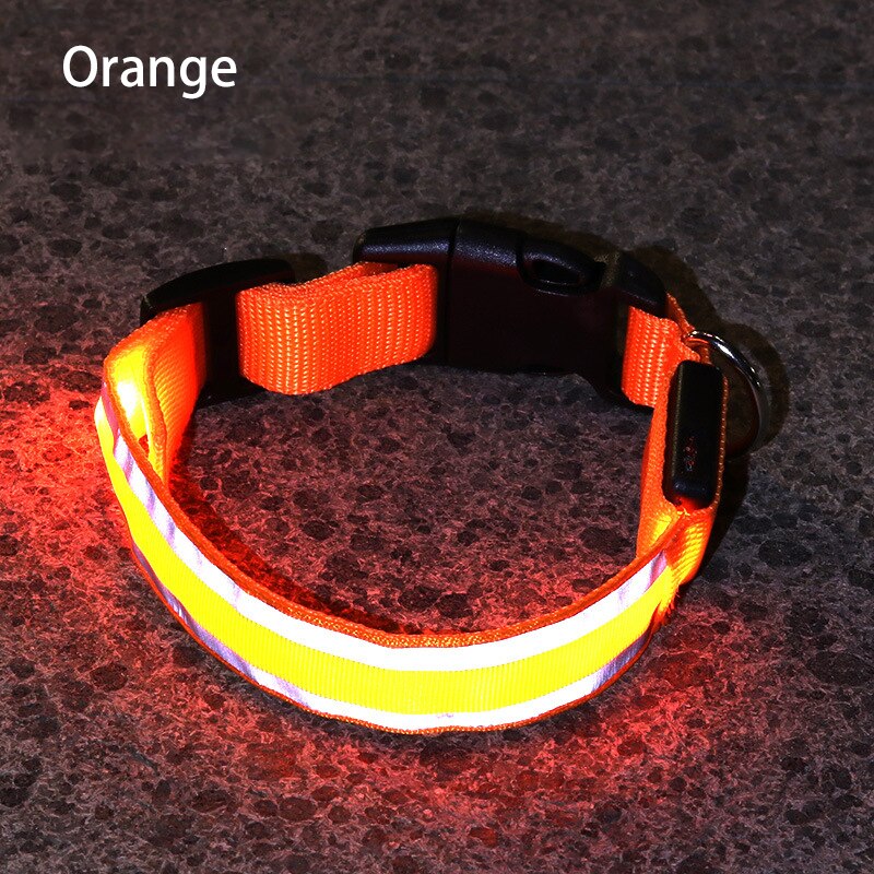 LED Light Dog Collar | The