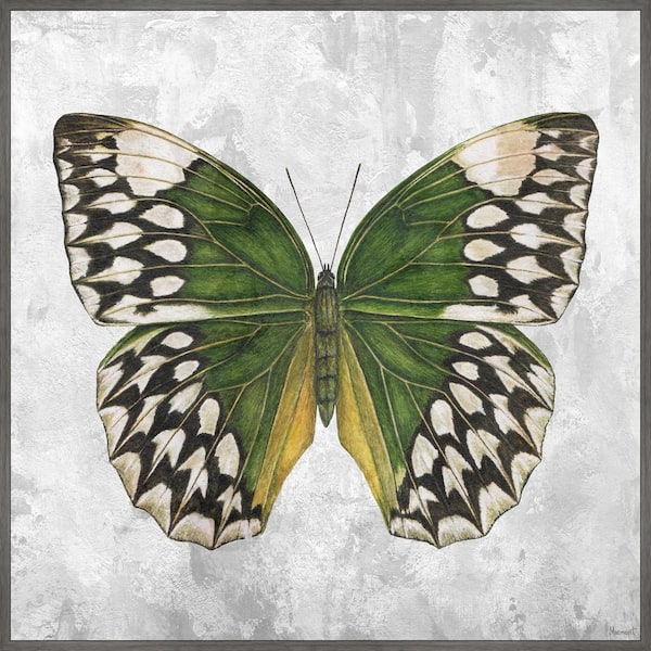 "Nature's Angel" by Marmont Hill Floater Framed Canvas Animal Art Print 18 in. x 18 in.