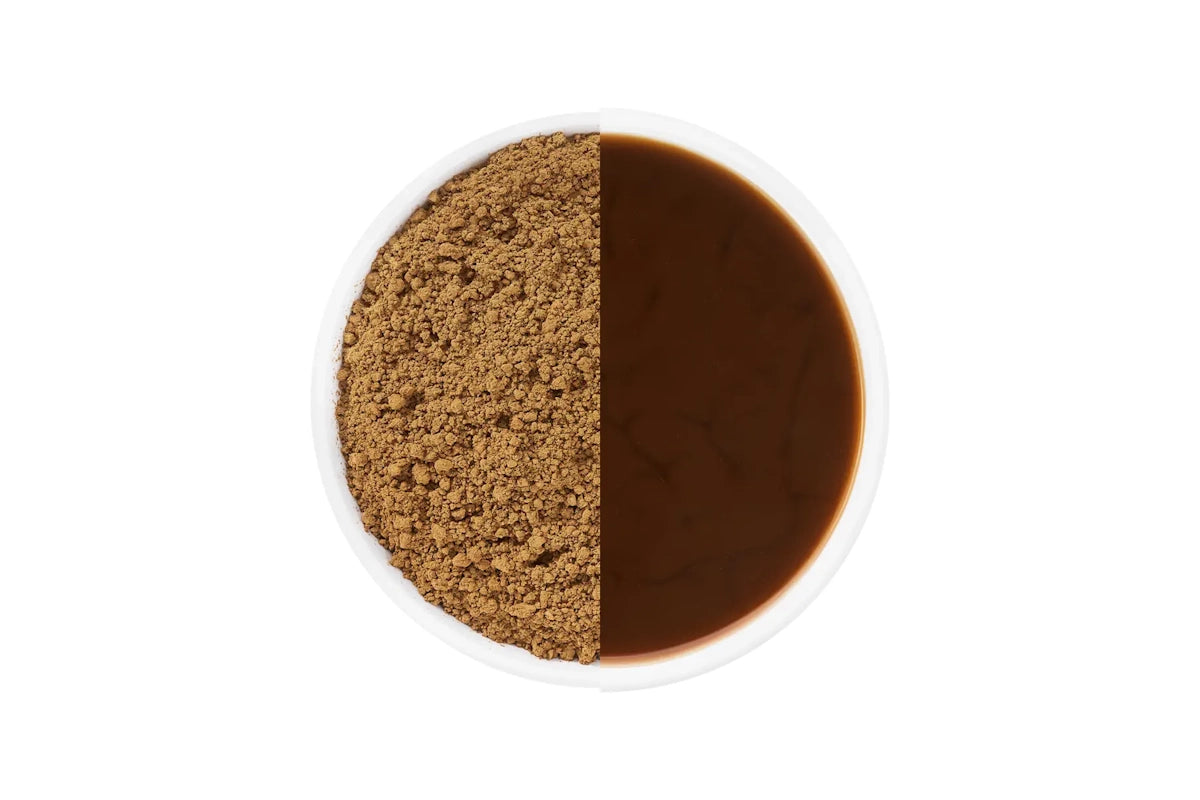 Comparaison de l'hojicha en poudre et de l'hojicha infusé dans une tasse blanche.