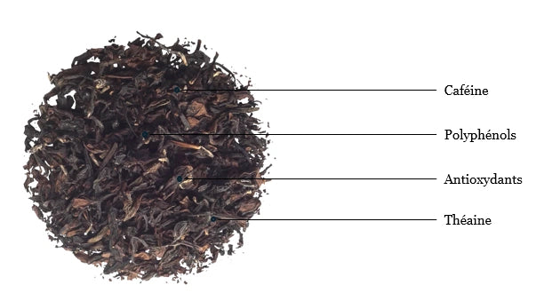 Composés nutritifs du thé oolong.