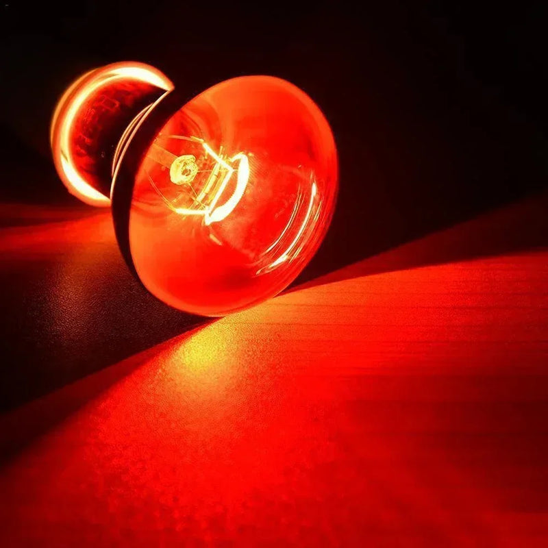220V Infrared Heating Lamp Poultry and Pets E27 Red Heat Bulb 25W 100W for Amphibians Reptiles Snakes with UVA Light - high-quality product