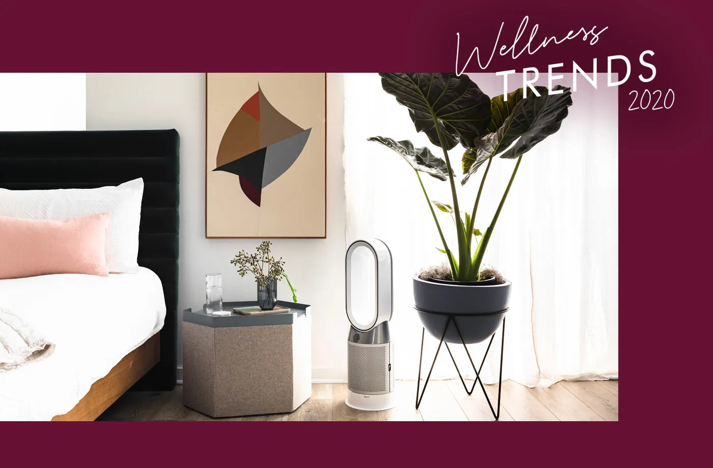 Top wellness trends for 2020