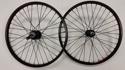 20 inch coaster brake bike