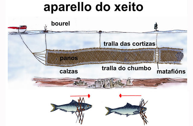 Sardina xeito Sal y Laurel