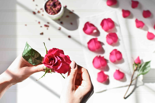 Comment Faire Sécher des Roses Soi-Même à la Maison ?