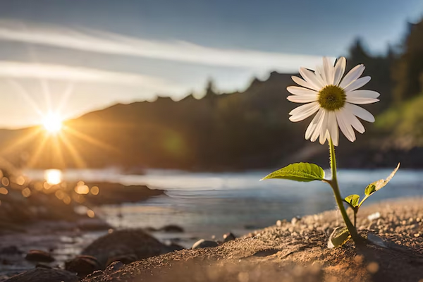 Pourquoi les Fleurs Changent-elles de Couleur ?