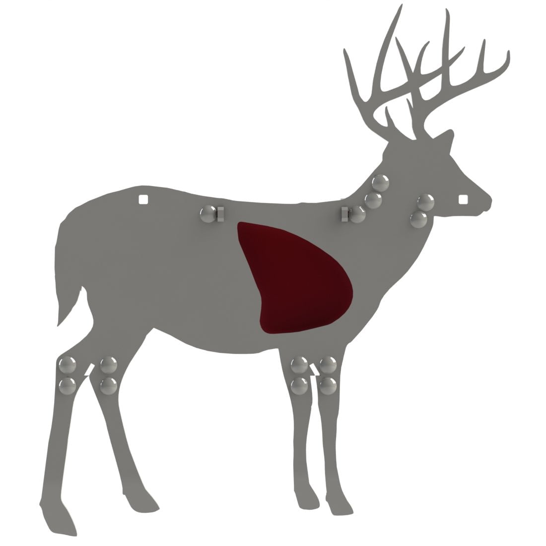 Whitetail Deer - 50% Scale
