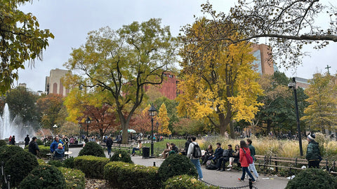 Washington Sq Park