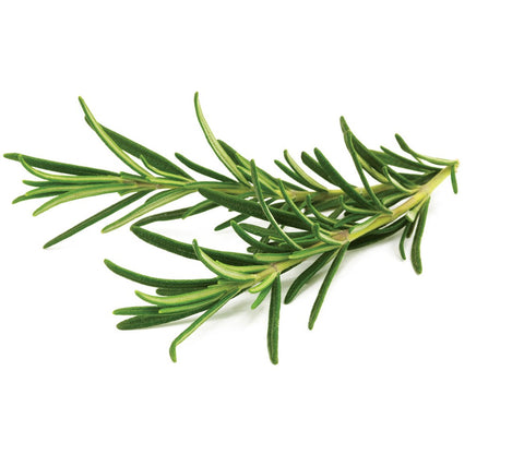 Click and Grow rosemary.