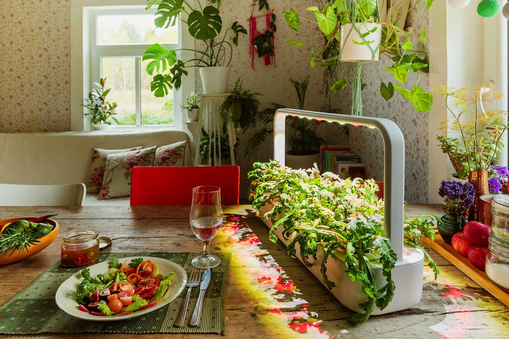 Click And Grow Smart Garden 9 on a country house table surrounded by fresh food.