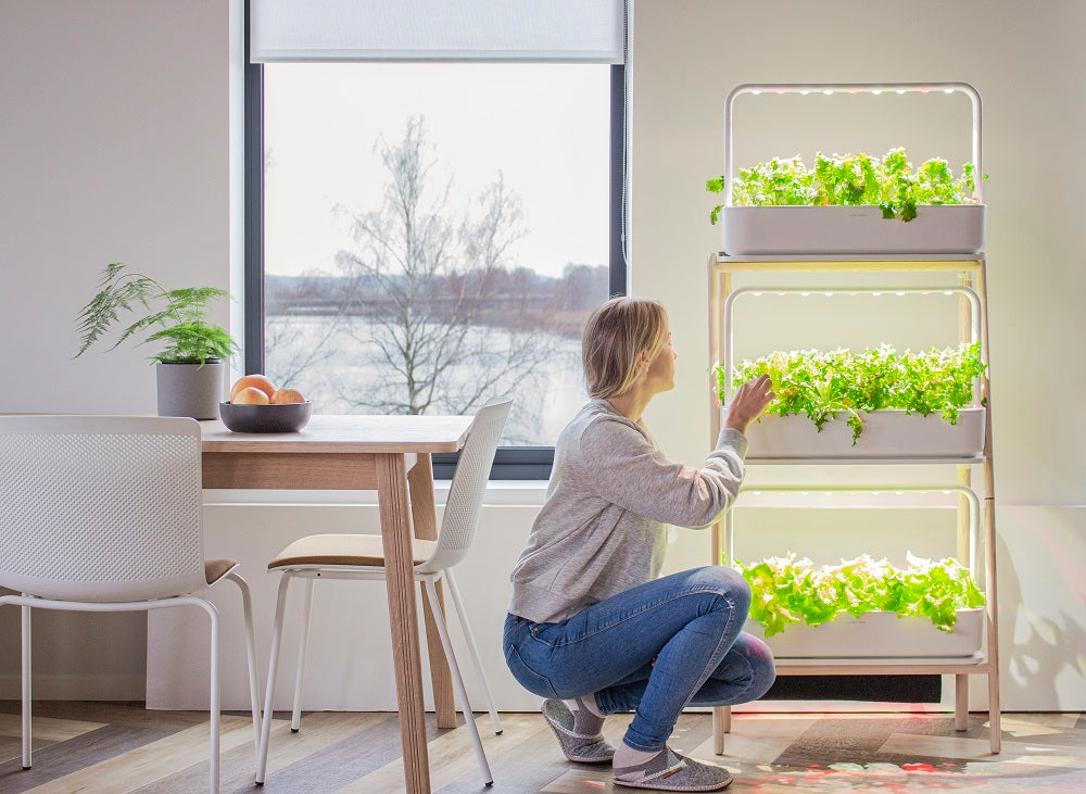 Woman harvesting plants from the Click and Grow Smart Garden 27.