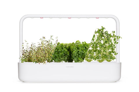 Herbs growing in the Click and Grow Smart Garden 9.