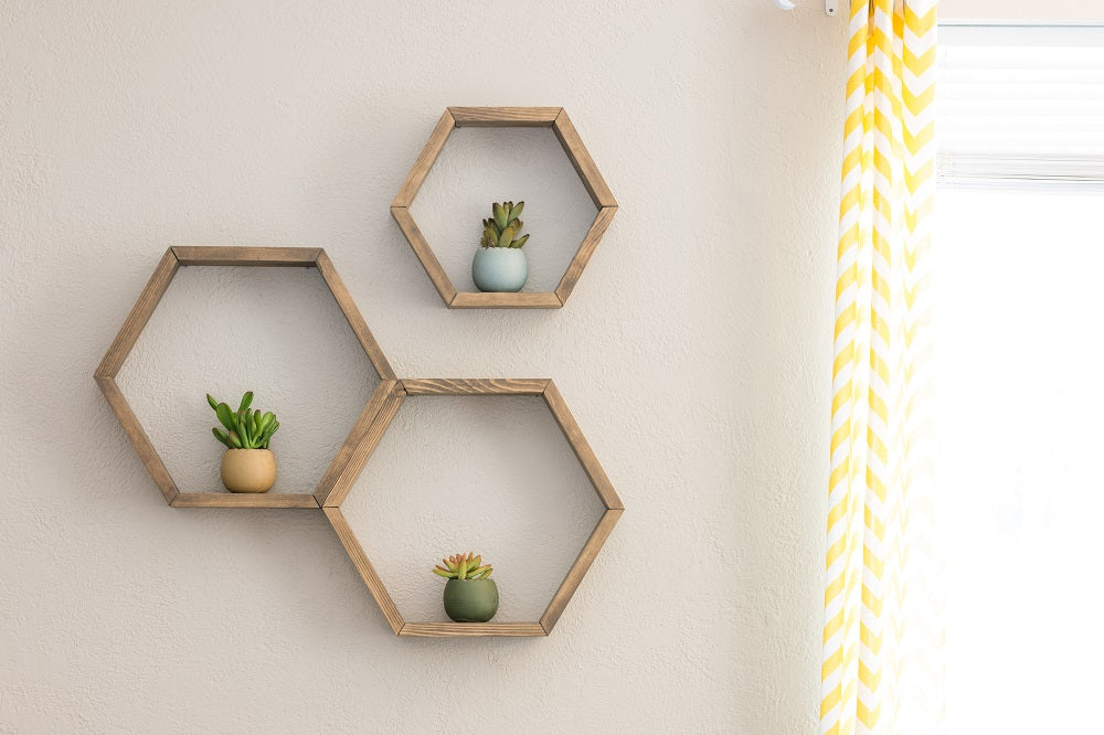 Plants in wooden frames on a wall