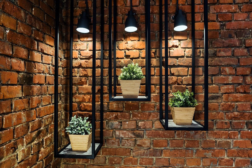 Plants under spotlights against an interior wall