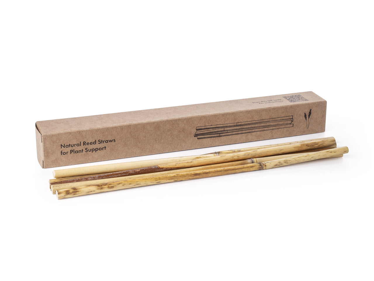 Natural Reed Straws - True support (10 pcs) - Click  Grow Asia product image