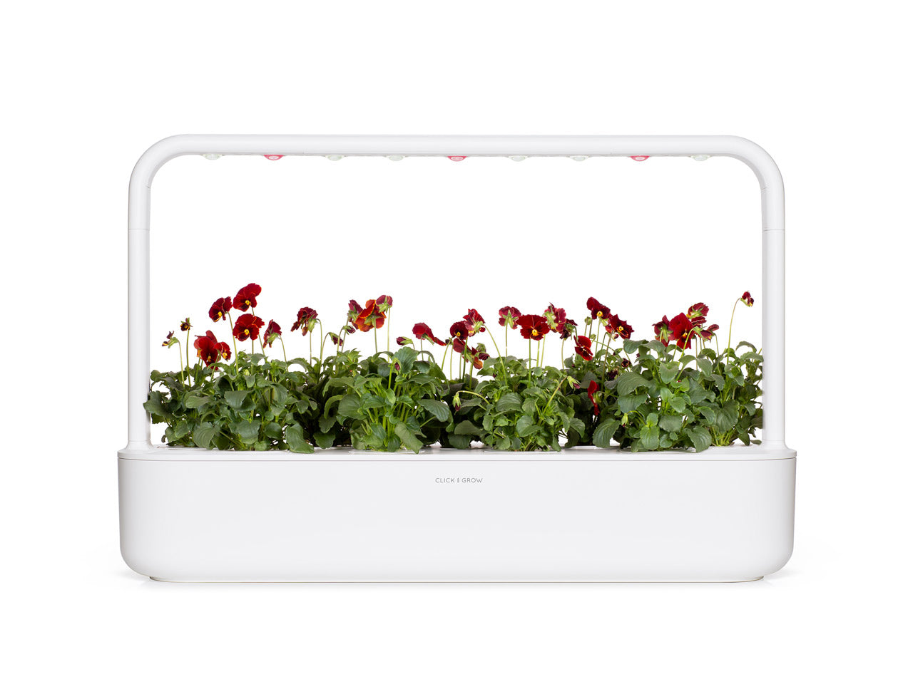 Red Pansy Plant Pods | Click & Grow Indoor Garden Kits – Click & Grow Asia