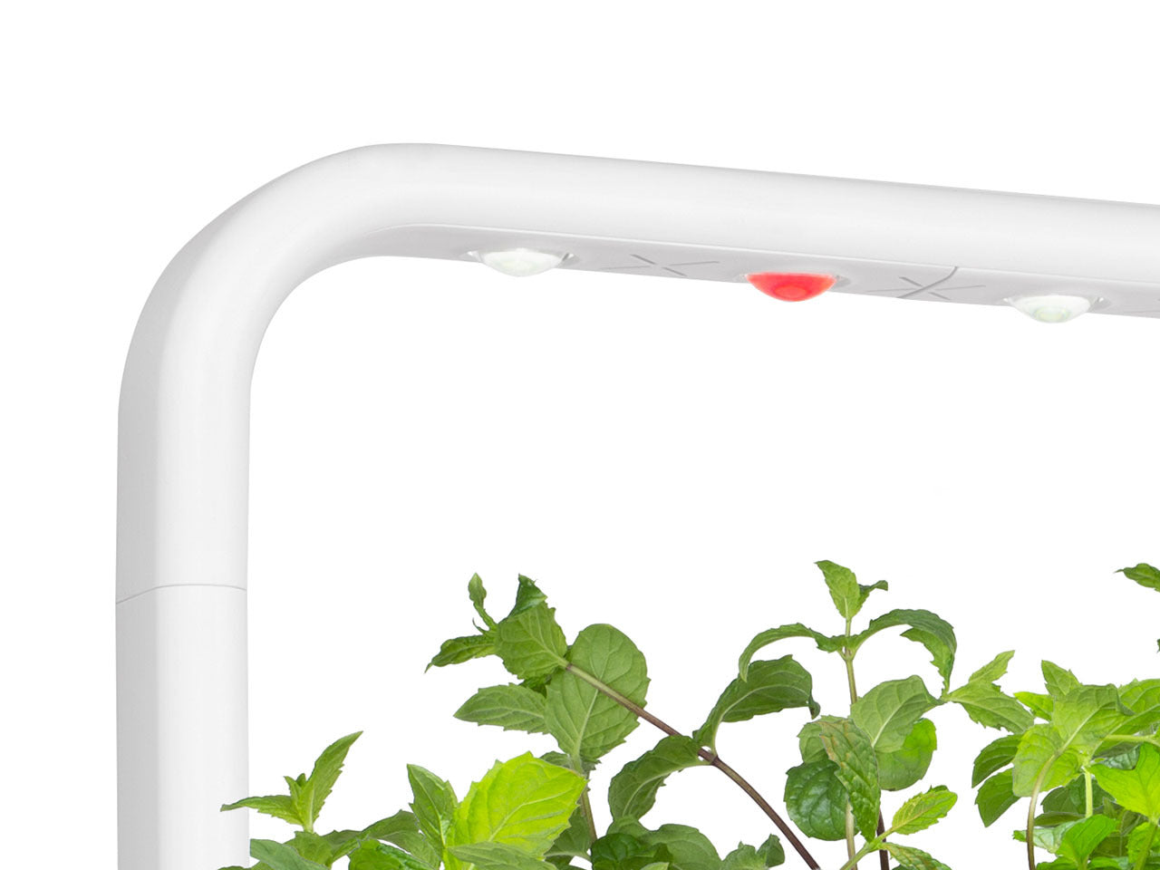 The Smart Garden 9 Lamp - Click  Grow Asia product image