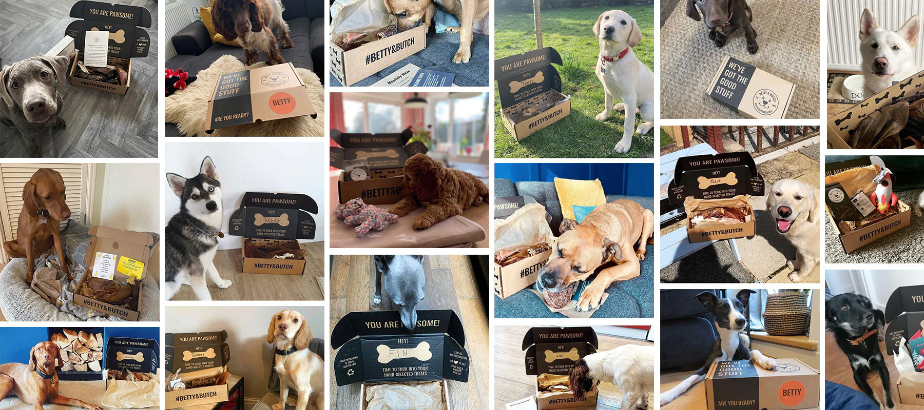 Betty and Butch UK dog deli treat boxes are 100% natural and human-grade quality dog food and treats.