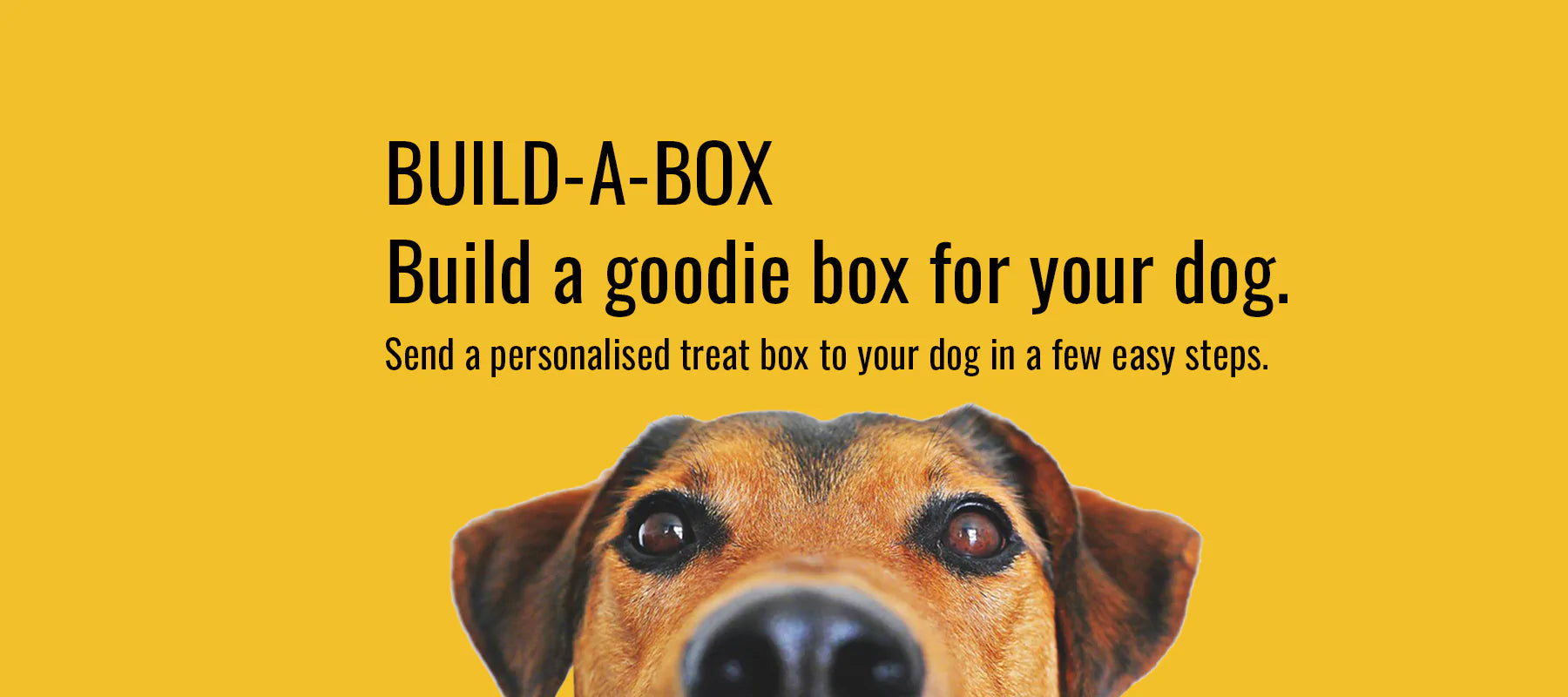 Build-A-Box: Build your own personalised and custom dog treat box and pick and select your dog's favourite food, treats, and toys.