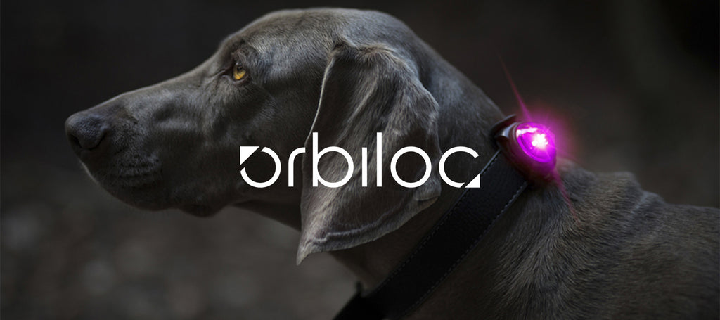 The Orbiloc Dog Safety Light is highly visible up to a range of 5km (3 miles) and is impact resistant to 100kg, and waterproof to 100m. You can have the light in steady-on mode or flashing modes and it takes batteries which are very long life (CR2032 batteries which last for 100-250 hours). 