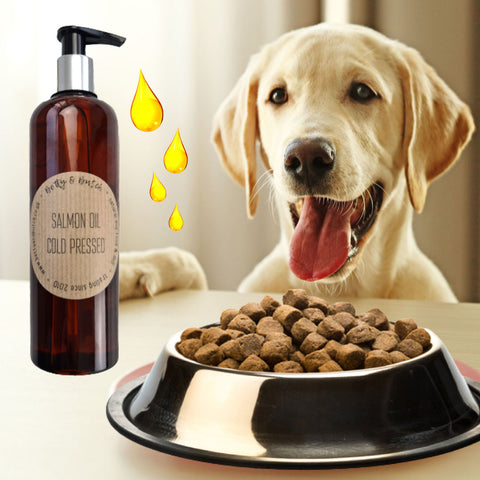 The Health Benefits of Salmon Oil for Dogs