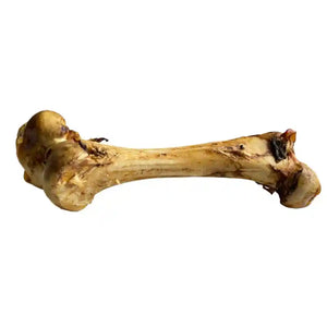 can you give dogs bones