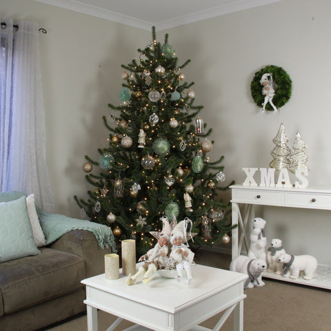 Top 5 Tips when Buy a Christmas Tree My Christmas