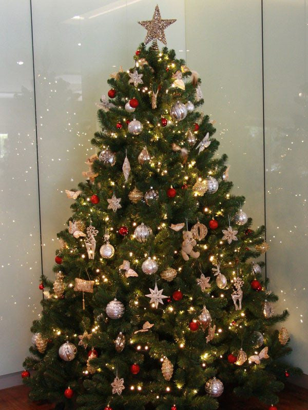 Monarch Evergreen Christmas Tree - My Christmas