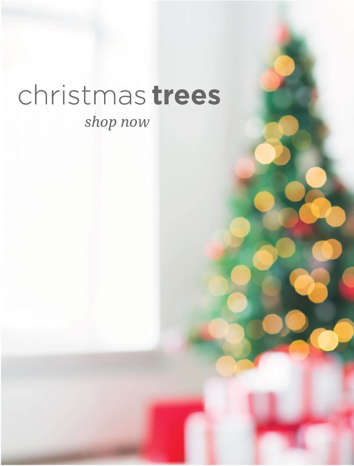 Buy Christmas Trees &amp; Decorations in Melbourne Shop or On-line. – My