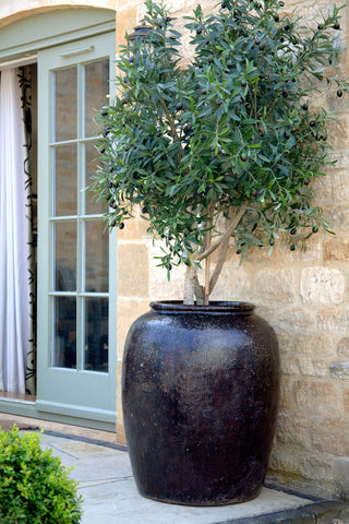 Giant brown planter 