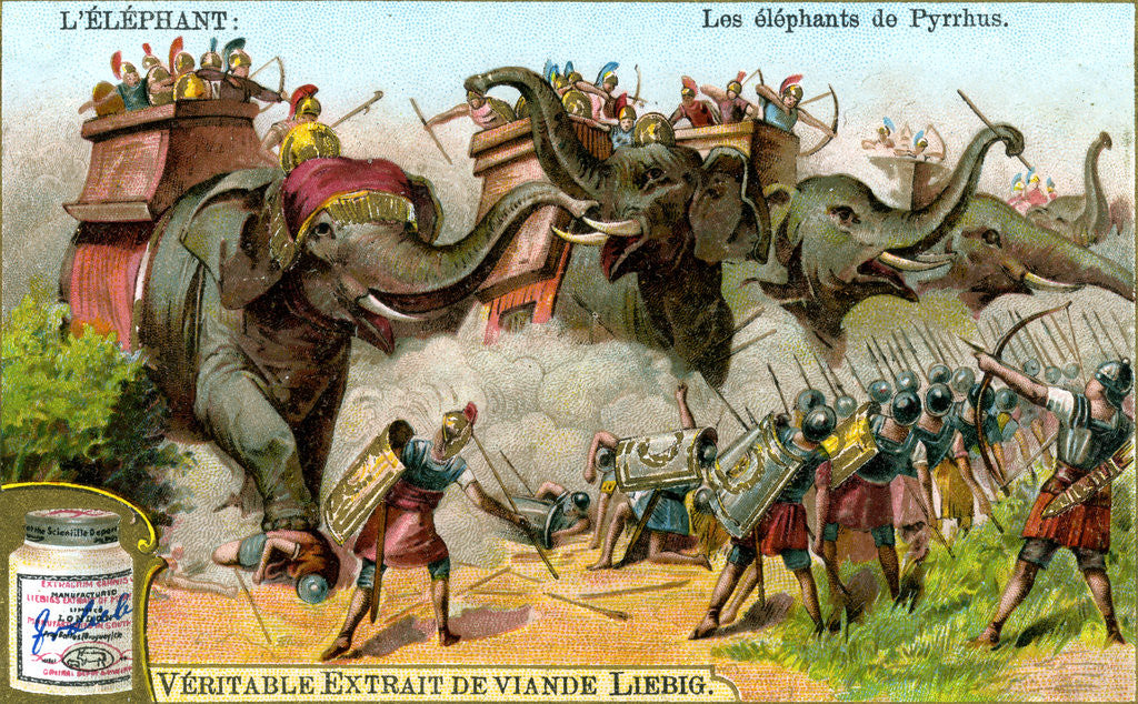 The Elephants of Pyrrhus posters & prints by Anonymous