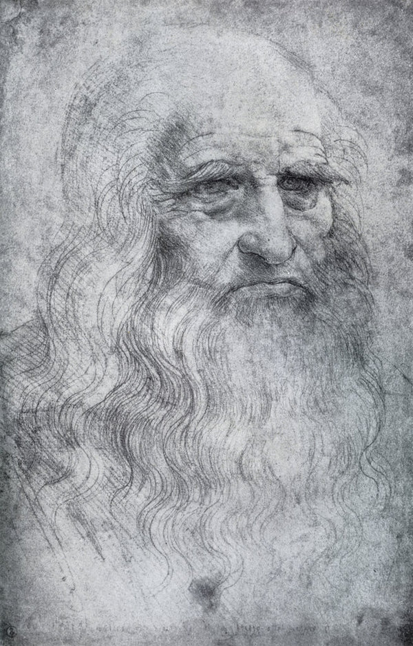 Self Portrait of Leonardo da Vinci posters & prints by Leonardo Da Vinci