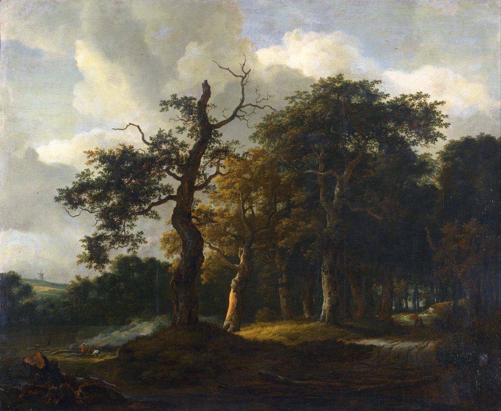 A Road through an Oak Wood posters & prints by Jacob Isaacksz van Ruisdael