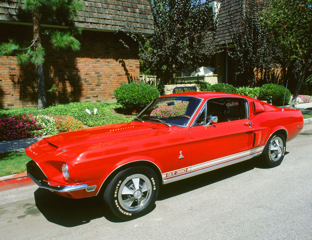 1969 Ford Mustang Shelby GT 350 posters & prints by Unknown