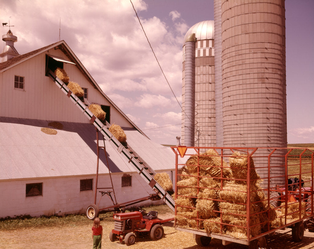 1970s Girl Watching Hay Bales On Conveyor Belt Loading