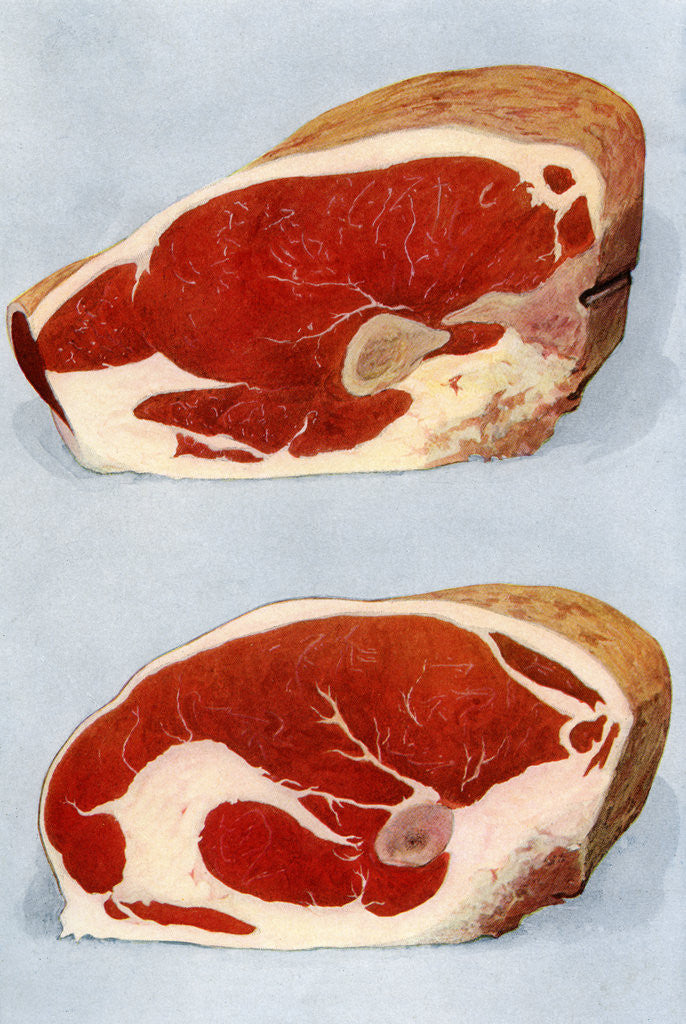 Illustration Of Two Sirloin Cuts Of Beef Posters And Prints By Corbis 