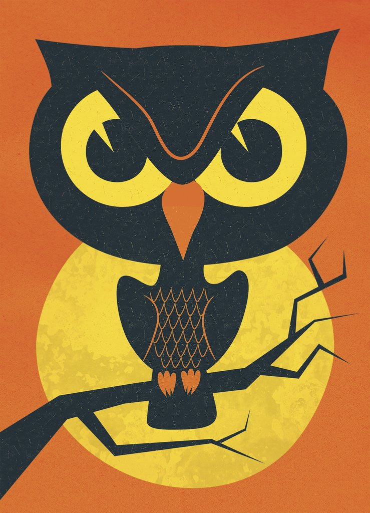 Spooky Owl posters & prints by Corbis