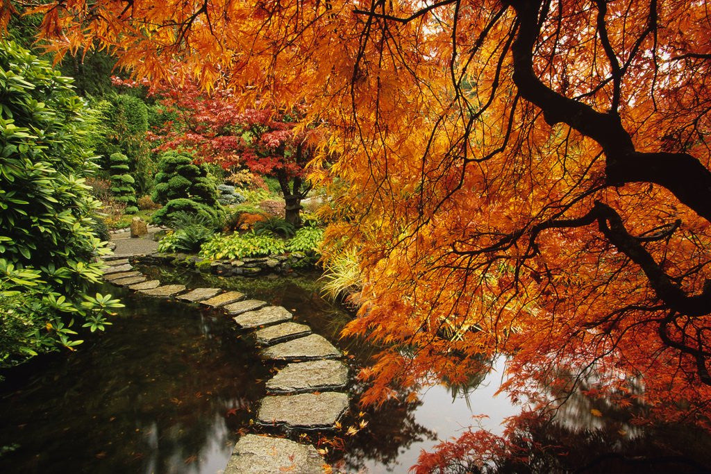 Autumn Colors in Butchart Gardens, Victoria, Vancouver Island, British