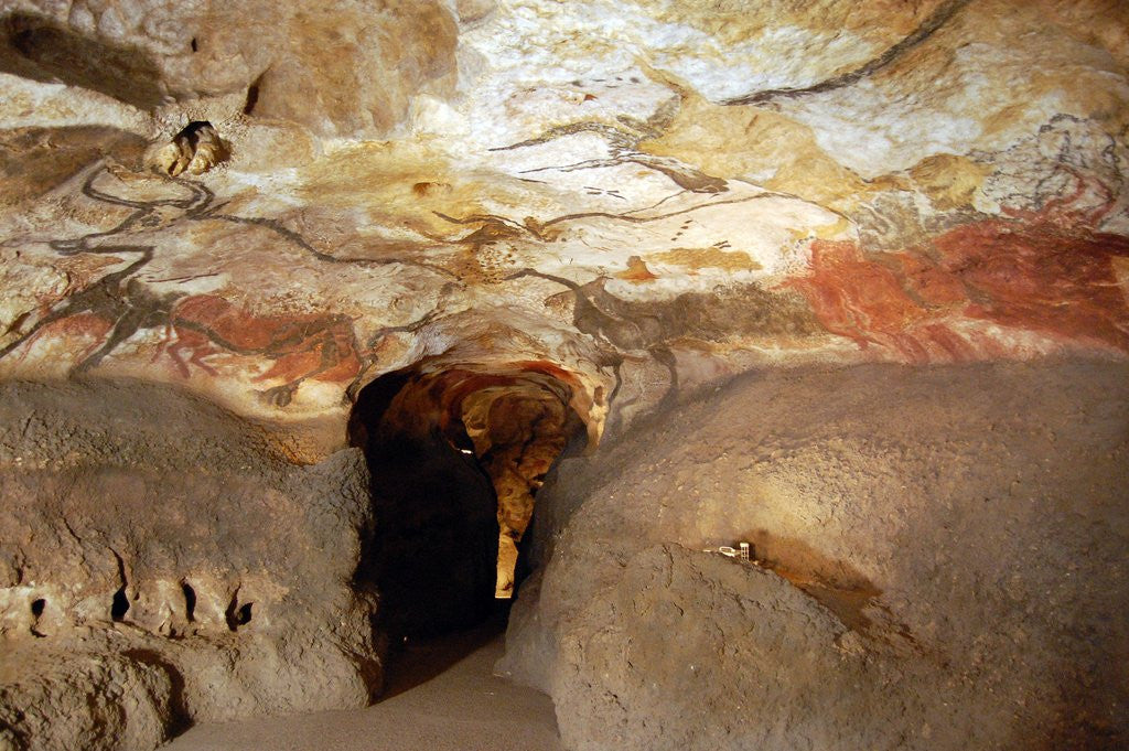 Great Hall Of Bulls At Caves Of Lascaux Posters Prints By Corbis   42 25088850 1024x1024 