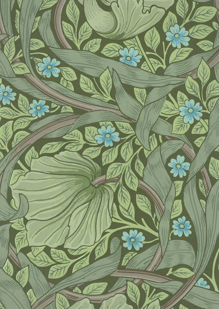 William Morris wallpaper sample with Forget-Me-Nots posters & prints by