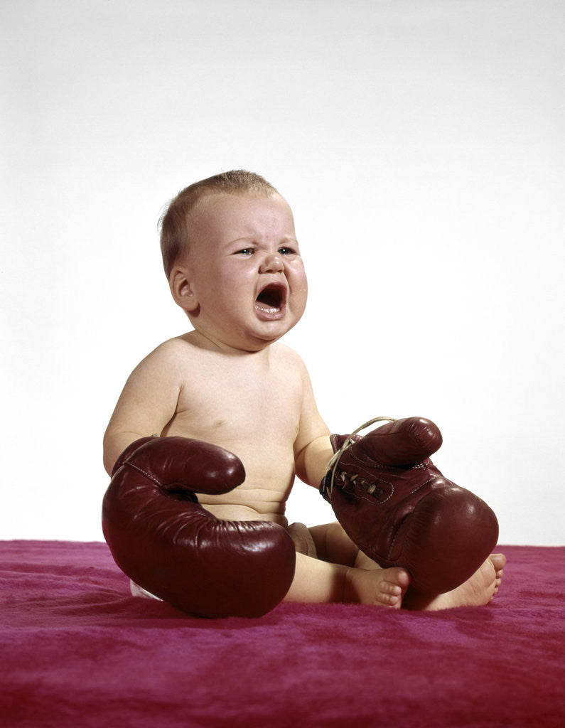 1960s Crying Baby Wearing Large Boxing Gloves Posters Prints By Corbis