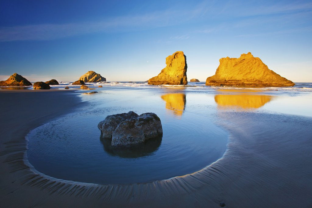 tidal pools oregon coast