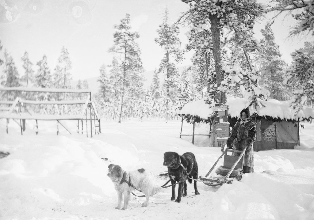 Detail of Man with Dogsled by Corbis