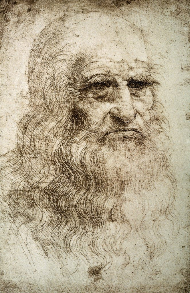 Self-Portrait posters & prints by Leonardo da Vinci