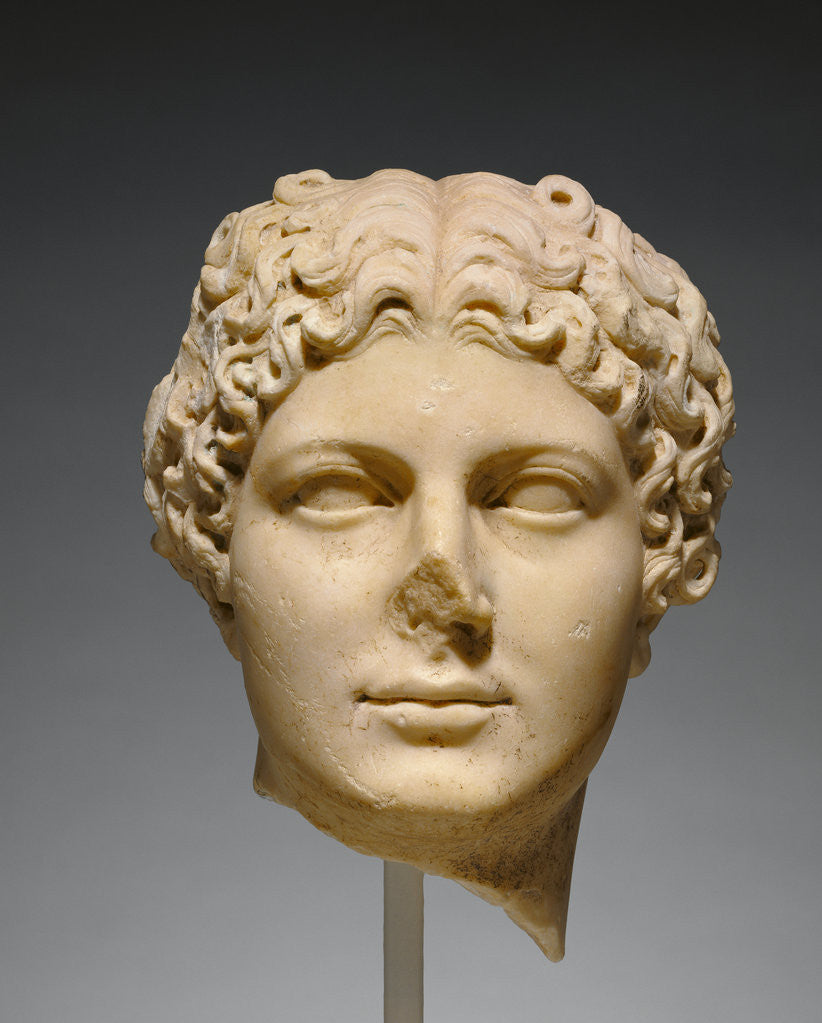 Portrait Head of Agrippina the Younger posters & prints by Anonymous